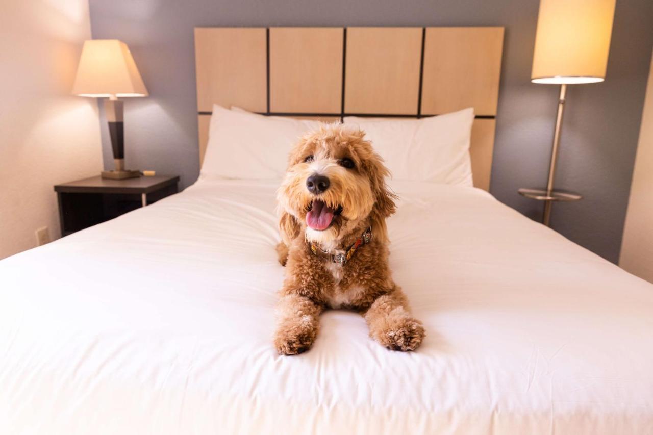 Sonesta Simply Suites Anaheim Garden Grove Eksteriør bilde